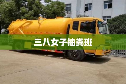 成都三八女子抽糞班