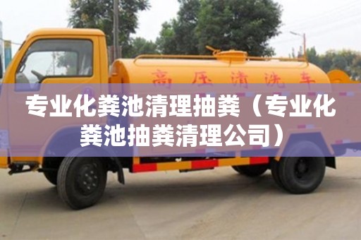 專業化糞池清理抽糞（專業化糞池抽糞清理公司）