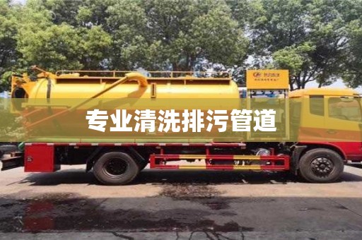 成都專業(yè)清洗排污管道