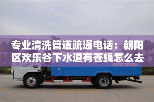 南昌專業清洗管道疏通電話：朝陽區歡樂谷下水道有蒼蠅怎么去除