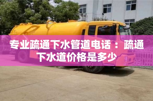專業疏通下水管道電話 ：疏通下水道價格是多少