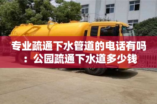 專業疏通下水管道的電話有嗎 ：公園疏通下水道多少錢
