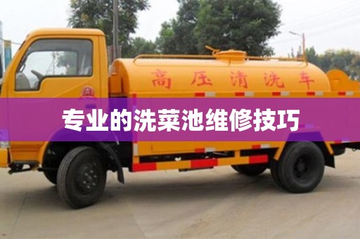 北京專業(yè)的洗菜池維修技巧