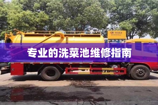 專業的洗菜池維修指南 專業的洗菜池維修指南