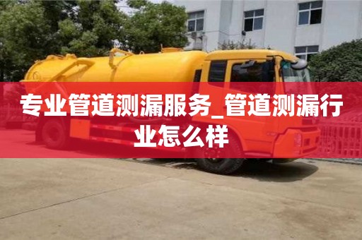 專業(yè)管道測漏服務_管道測漏行業(yè)怎么樣