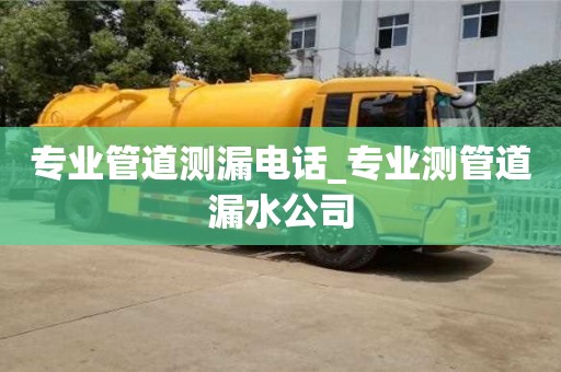 成都專業(yè)管道測(cè)漏電話_專業(yè)測(cè)管道漏水公司
