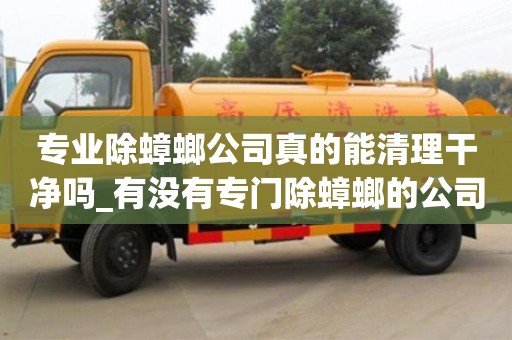 專業(yè)除蟑螂公司真的能清理干凈嗎_有沒有專門除蟑螂的公司