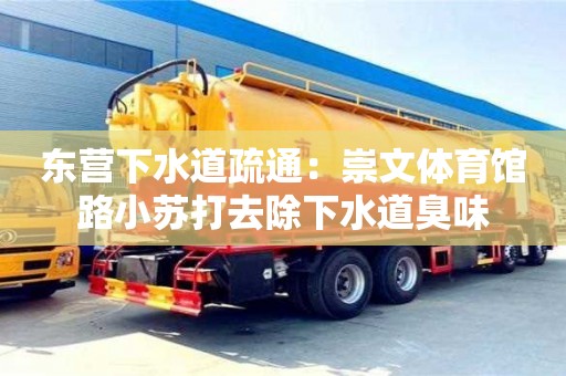 東營下水道疏通：崇文體育館路小蘇打去除下水道臭味