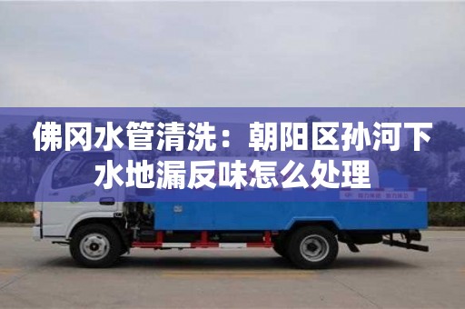杭州佛岡水管清洗：朝陽區孫河下水地漏反味怎么處理