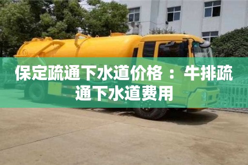 保定疏通下水道價格 ：牛排疏通下水道費用