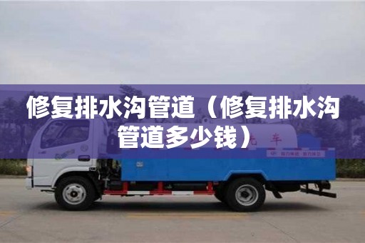 修復排水溝管道（修復排水溝管道多少錢）