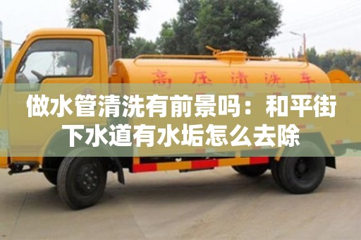 北京做水管清洗有前景嗎：和平街下水道有水垢怎么去除