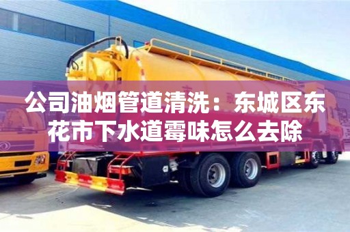 杭州公司油煙管道清洗：東城區東花市下水道霉味怎么去除