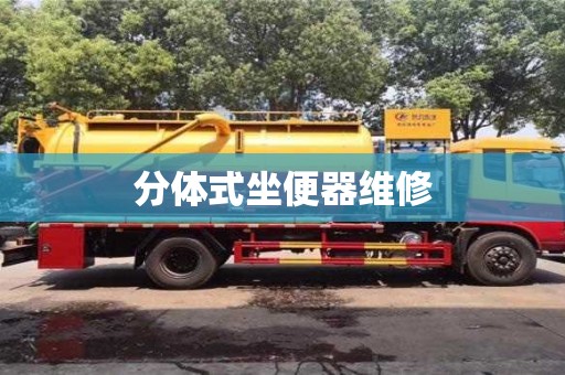 北京分體式坐便器維修