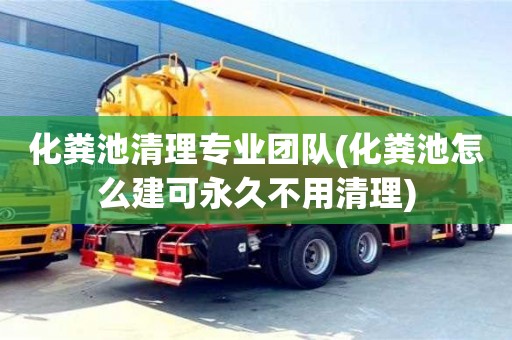 化糞池清理專業(yè)團(tuán)隊(duì)(化糞池怎么建可永久不用清理)