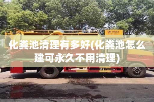 化糞池清理有多好(化糞池怎么建可永久不用清理)
