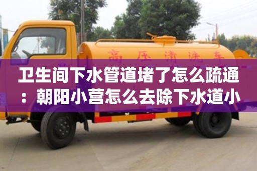 衛生間下水管道堵了怎么疏通：朝陽小營怎么去除下水道小紅蟲