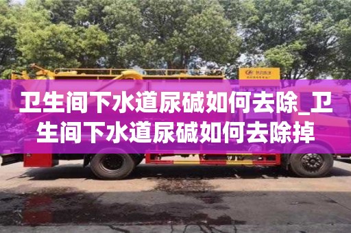 衛(wèi)生間下水道尿堿如何去除_衛(wèi)生間下水道尿堿如何去除掉
