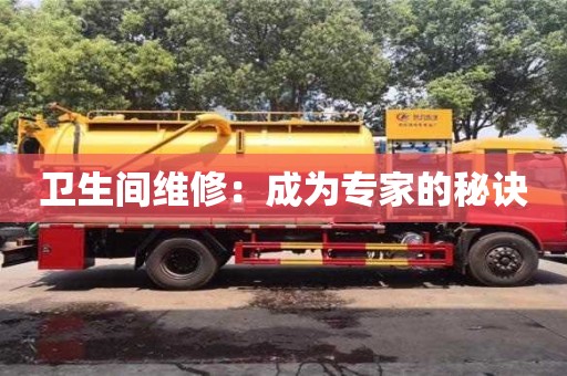 衛(wèi)生間維修：成為專家的秘訣