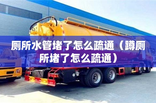 杭州廁所水管堵了怎么疏通（蹲廁所堵了怎么疏通）