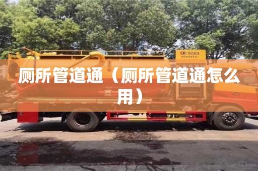北京廁所管道通（廁所管道通怎么用）