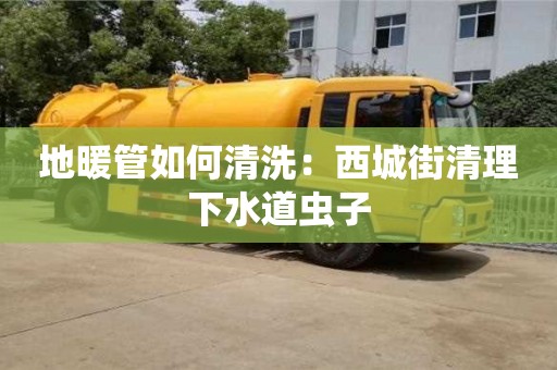 北京地暖管如何清洗：西城街清理下水道蟲子