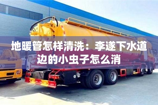 地暖管怎樣清洗：李遂下水道邊的小蟲子怎么消