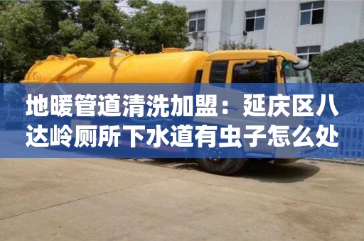 北京地暖管道清洗加盟：延慶區八達嶺廁所下水道有蟲子怎么處理