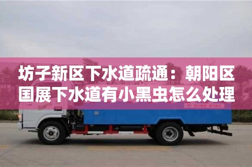 坊子新區(qū)下水道疏通：朝陽區(qū)國展下水道有小黑蟲怎么處理