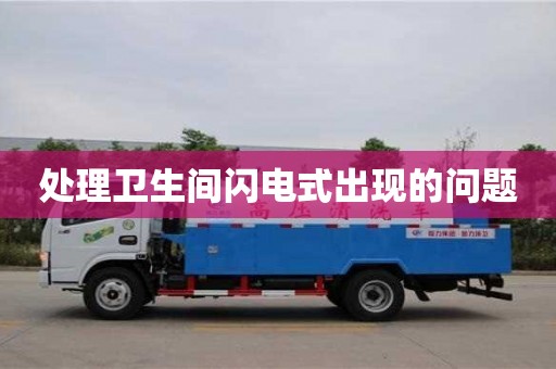 處理衛生間閃電式出現的問題 處理衛生間閃電式出現的問題