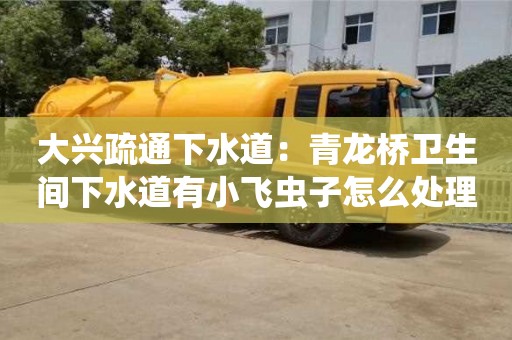 大興疏通下水道：青龍橋衛生間下水道有小飛蟲子怎么處理