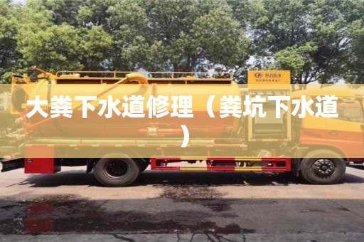 南昌大糞下水道修理（糞坑下水道）