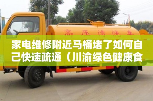 家電維修附近馬桶堵了如何自己快速疏通（川渝綠色健康食品榮縣產業園）