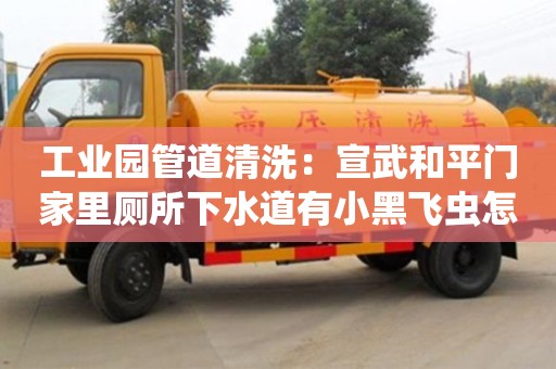 北京工業(yè)園管道清洗：宣武和平門家里廁所下水道有小黑飛蟲怎么處理