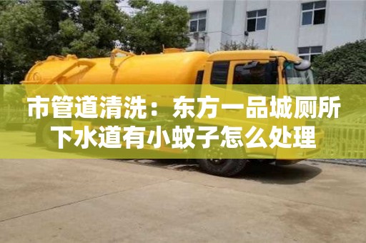 北京市管道清洗：東方一品城廁所下水道有小蚊子怎么處理