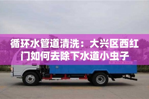 循環水管道清洗：大興區西紅門如何去除下水道小蟲子