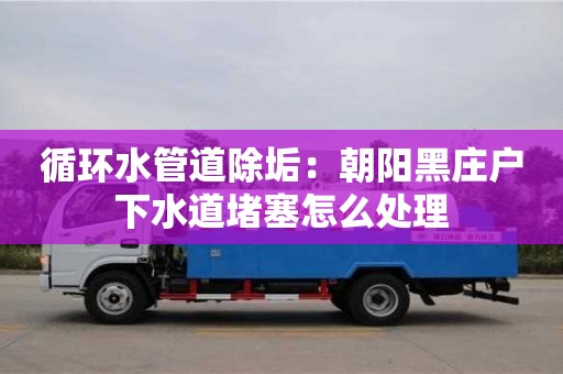 北京循環(huán)水管道除垢：朝陽黑莊戶下水道堵塞怎么處理