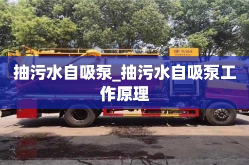 抽污水自吸泵_抽污水自吸泵工作原理