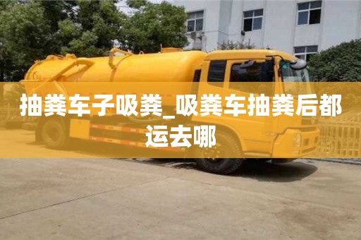 抽糞車子吸糞_吸糞車抽糞后都運去哪