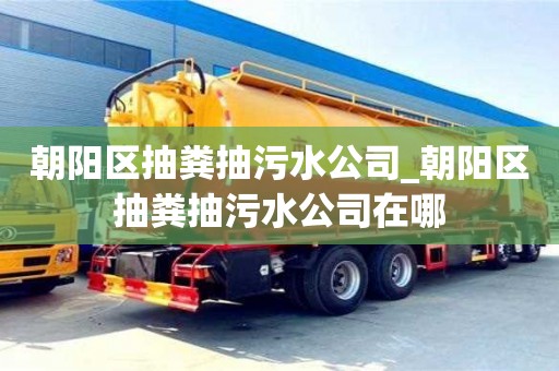 朝陽區抽糞抽污水公司_朝陽區抽糞抽污水公司在哪