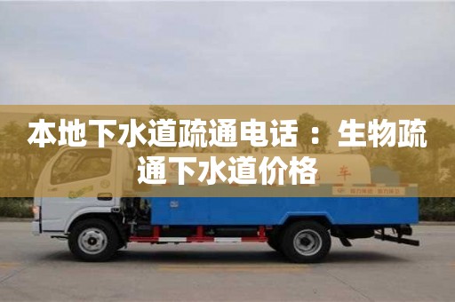 本地下水道疏通電話 ：生物疏通下水道價格