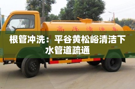 杭州根管沖洗：平谷黃松峪清潔下水管道疏通