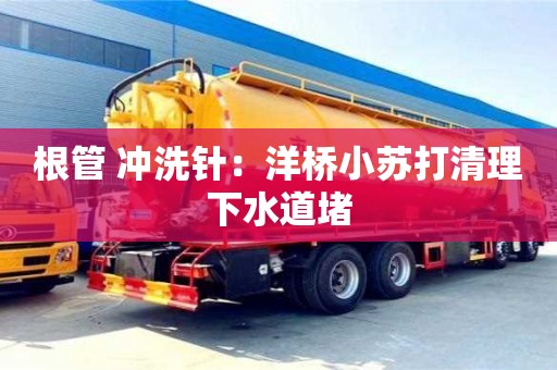 杭州根管 沖洗針：洋橋小蘇打清理下水道堵
