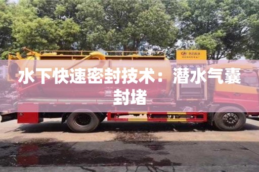 杭州水下快速密封技術：潛水氣囊封堵