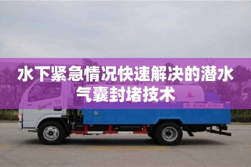 杭州水下緊急情況快速解決的潛水氣囊封堵技術
