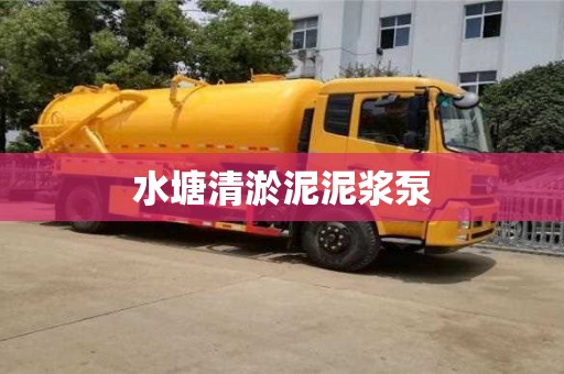 合肥水塘清淤泥泥漿泵