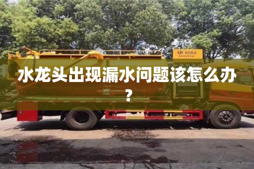水龍頭出現(xiàn)漏水問(wèn)題該怎么辦? 水龍頭出現(xiàn)漏水問(wèn)題該怎么辦?