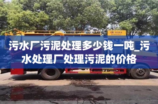 成都污水廠污泥處理多少錢一噸_污水處理廠處理污泥的價格