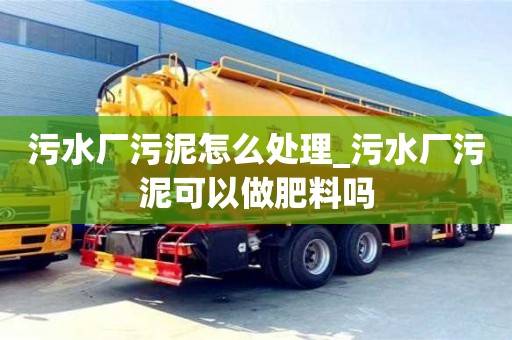 石家莊污水廠污泥怎么處理_污水廠污泥可以做肥料嗎