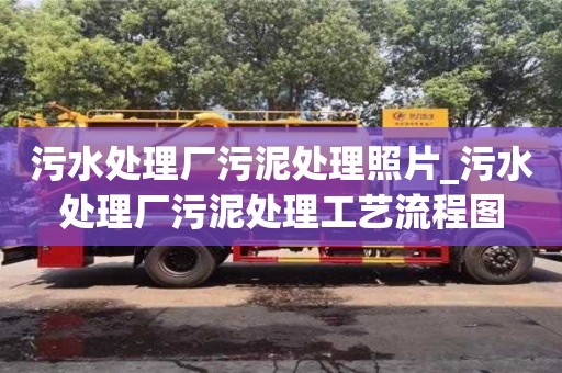 石家莊污水處理廠污泥處理照片_污水處理廠污泥處理工藝流程圖